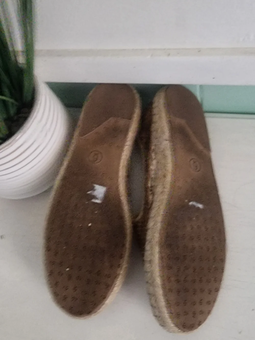 DV by Dolce Vita Gold Snake-Print Espadrilles